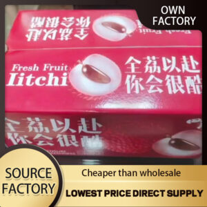 Cold chain insulation box
